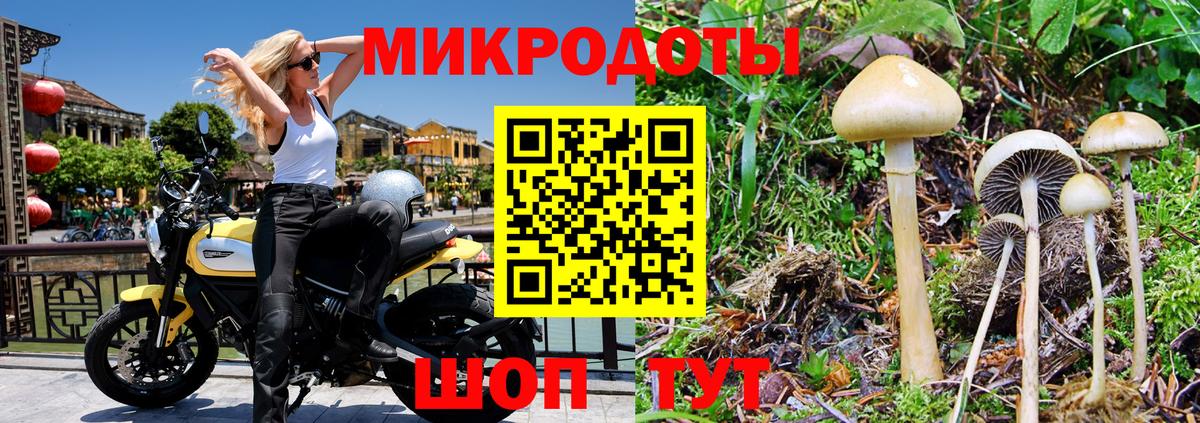 Добрянка  Псилоцибиновые грибы Psilocybine cubensis  где купить наркотик  Вход с VPN 