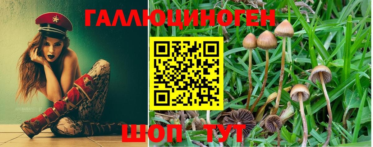 Бутират Добрянка